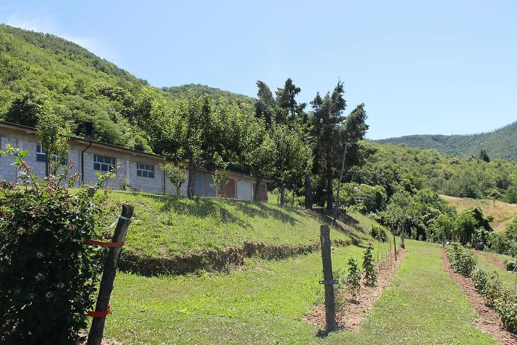 Appartamenti Ca' De Riccio Regnano  0*, Regnano (Massa-Carrara)